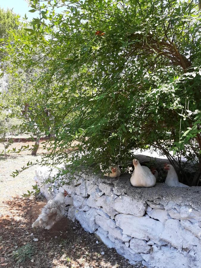 Villa Trullo Fellone à Ceglie Messapica Extérieur photo